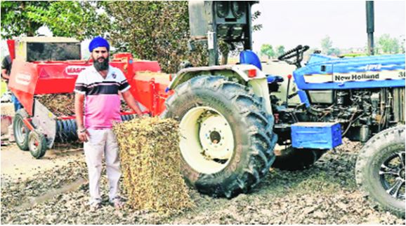 As most farmers picked matchstick, Malerkotla man picked their paddy stubble, made 16 lakh in a month
